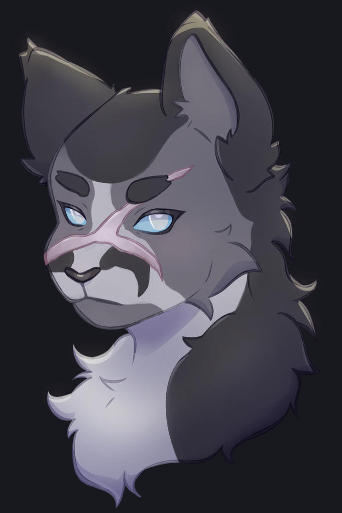 Headshot / Bust - $15
