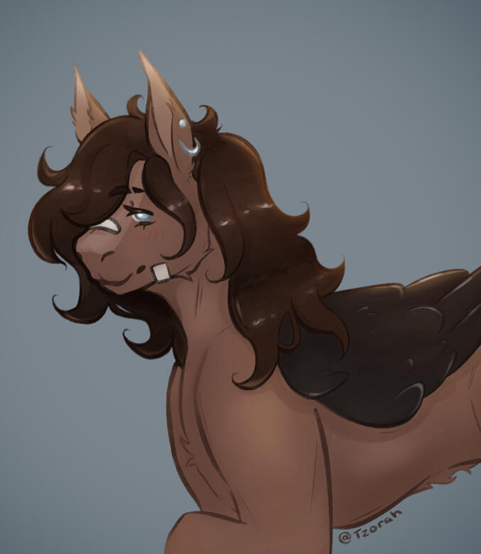 Halfbody